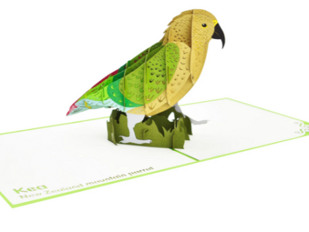 Kea 3D - Pop Up Cards Online Sale