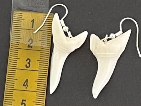 Real Mako Shark Teeth Earrings - No9 Hot on Sale