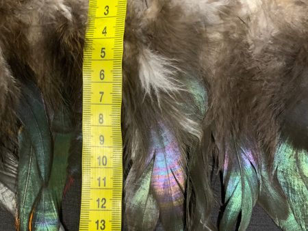 Natural Jade Coque Feathers Supply