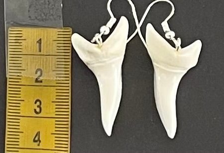 Real Mako Shark Teeth Earrings - No 16 For Discount