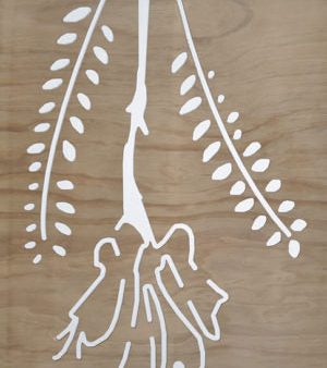 Kowhai - Wood Panels Online now