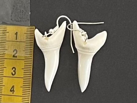 ) Real Mako Shark Teeth Earrings - No 27 Sale