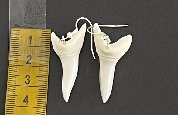 ) Real Mako Shark Teeth Earrings - No 27 Sale