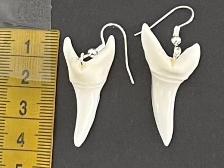 Real Mako Shark Teeth Earrings - No5 Sale