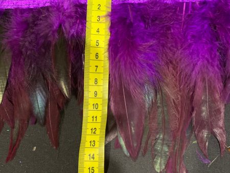 Aubergine Coque Feathers Supply