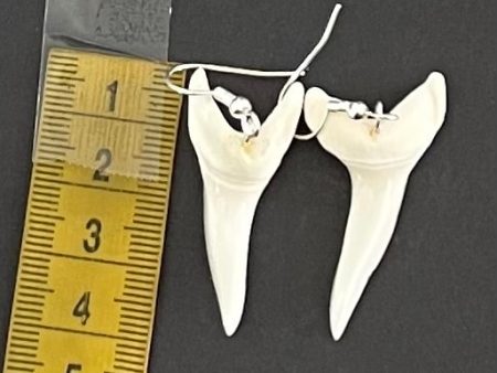 Real Mako Shark Teeth Earrings - No 10 on Sale