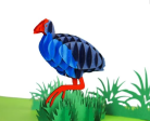 Pukeko  3D - Pop Up Cards Online