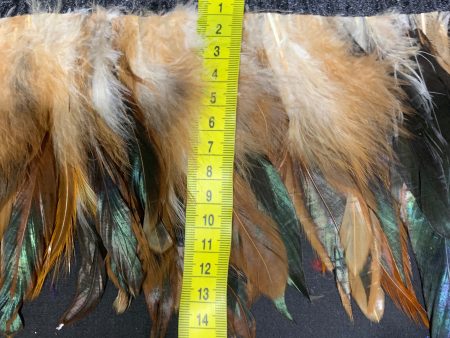 Natural Rooster Coque Feathers Discount