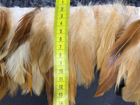 Natural Hen Coque Feathers Online now