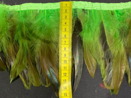 Grass Green Coque Feathers For Discount