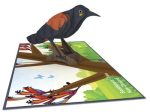 New Zealand Saddleback  3D - Pop Up Cards Online