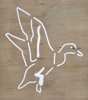 Duck - Wood Panels Online now