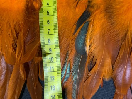 Orange Coque Feathers Fashion