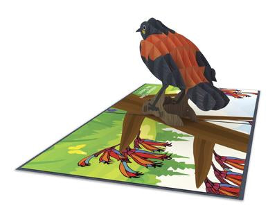 New Zealand Saddleback  3D - Pop Up Cards Online