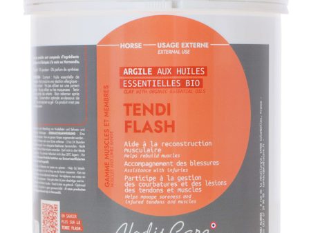 Alodis Argile Tendi Flash 3kg Online